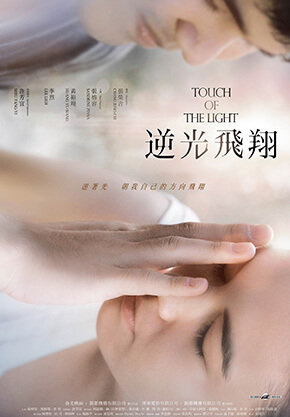 逆光飛翔