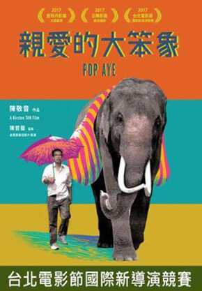 親愛的大笨象