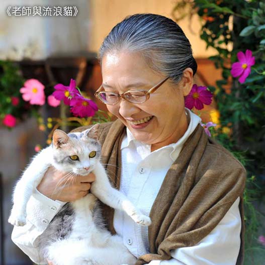 老師與流浪貓