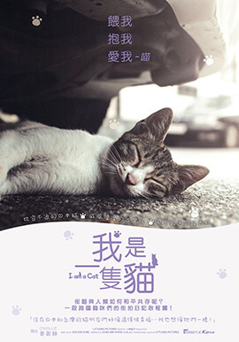 我是一隻貓