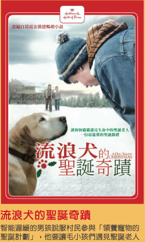 流浪犬的聖誕奇蹟