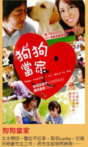 狗狗當家