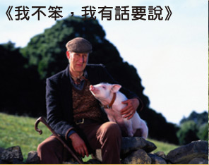 我不笨，我有話要說