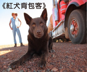 紅犬背包客