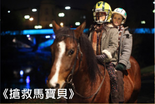 搶救馬寶貝
