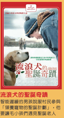 流浪犬的聖誕奇蹟