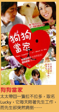 狗狗當家