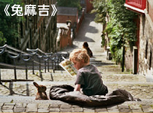 兔麻吉
