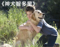神犬智多星