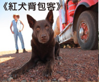 紅犬背包客