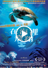 在海裡飛翔