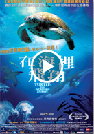 在海裡飛翔